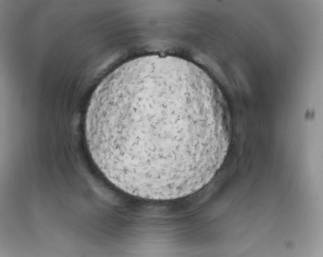 X0000091330066200709071206