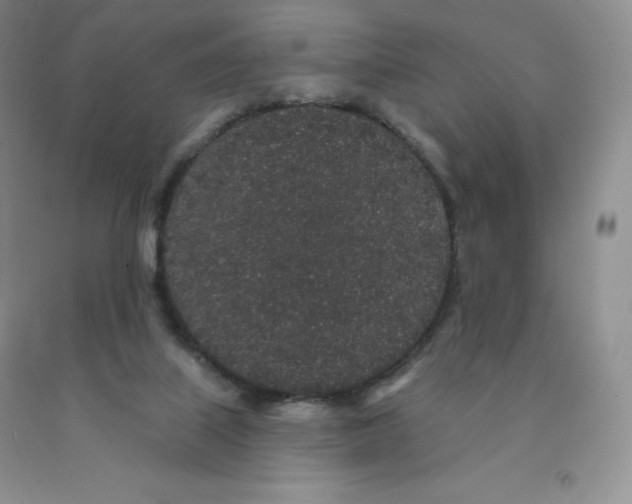 X0000091330067200709071206