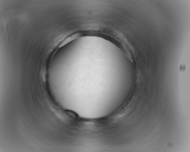 X0000091330068200709071206
