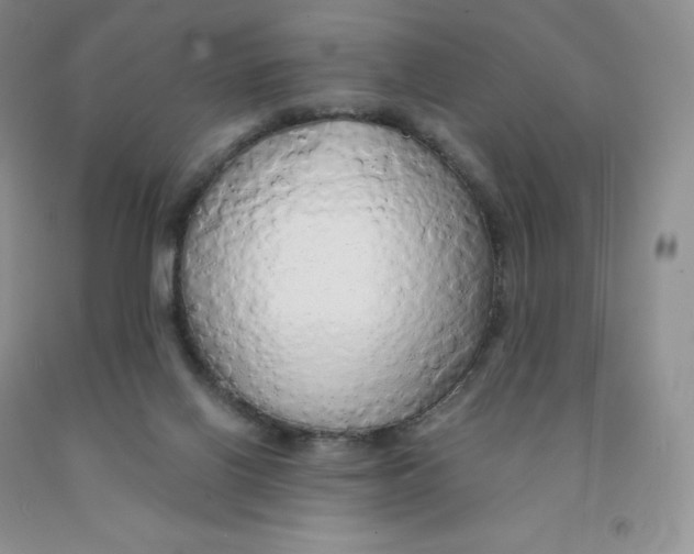 X0000091330070200709071206