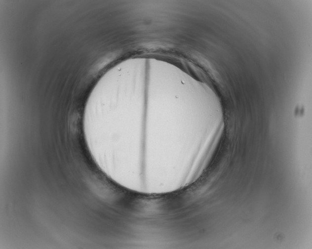 X0000091330071200709071206