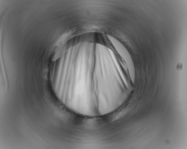 X0000091330072200709071206