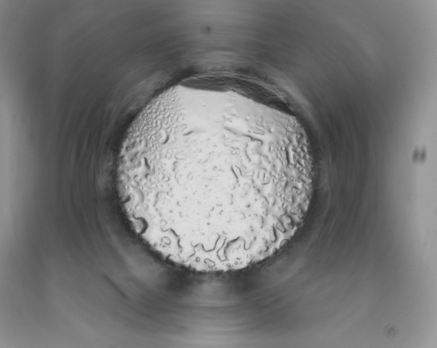 X0000091330073200709071206