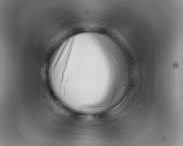 X0000091330074200709071206