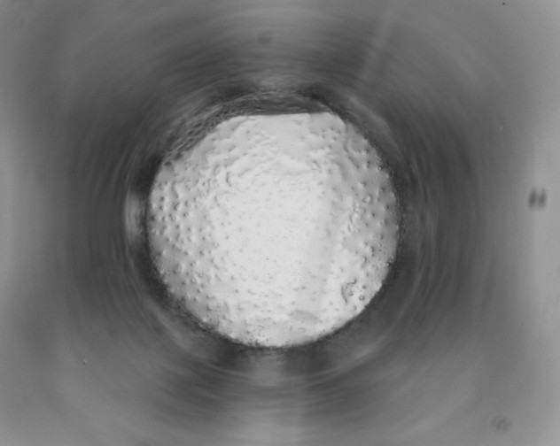 X0000091330075200709071206
