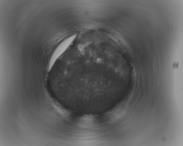 X0000091330076200709071206