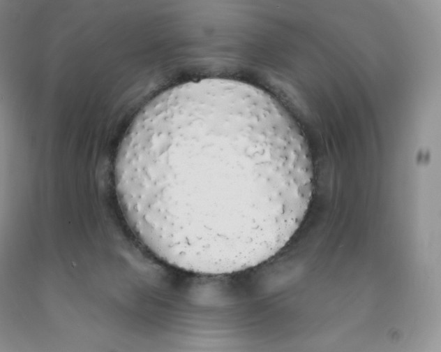X0000091330077200709071206