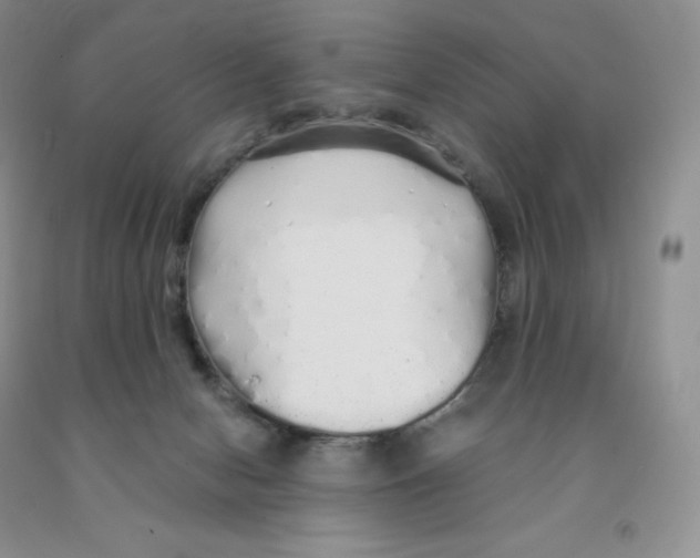 X0000091330078200709071206