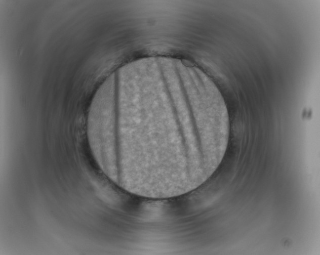 X0000091330079200709071206