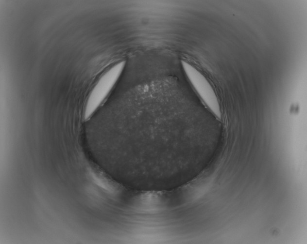 X0000091330080200709071206