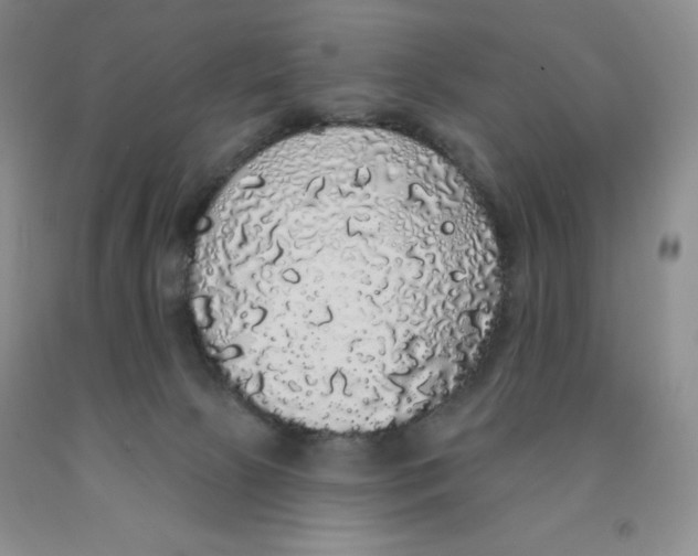X0000091330081200709071206