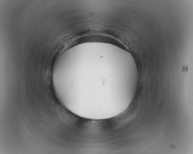 X0000091330082200709071206