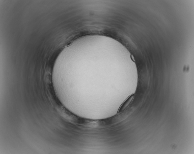 X0000091330083200709071206
