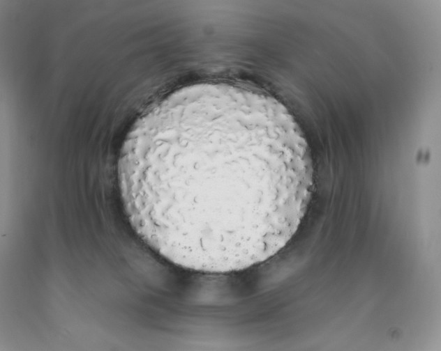 X0000091330085200709071206