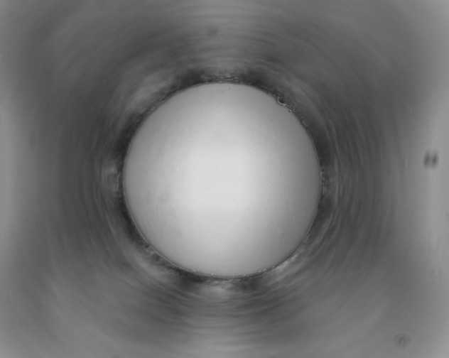 X0000091330086200709071206