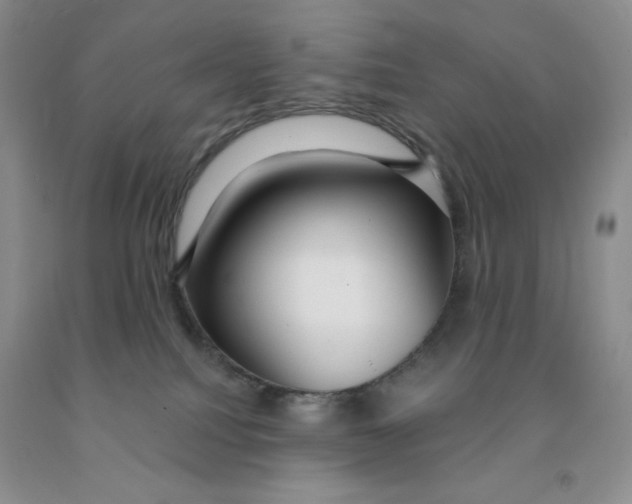 X0000091330088200709071206