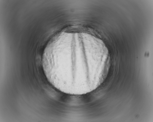 X0000091330089200709071206