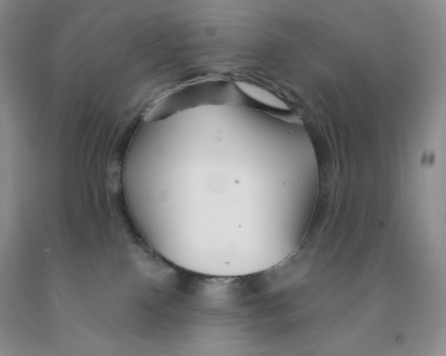 X0000091330090200709071206