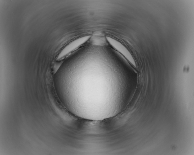 X0000091330092200709071206