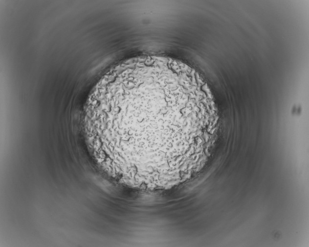 X0000091330093200709071206