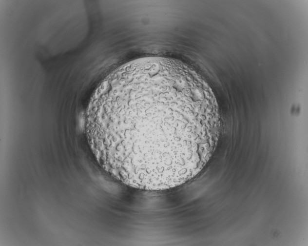 X0000091330095200709071206