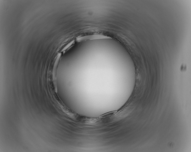 X0000091330096200709071206