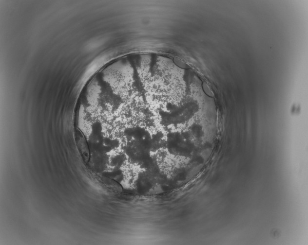 X0000091330099200709071205