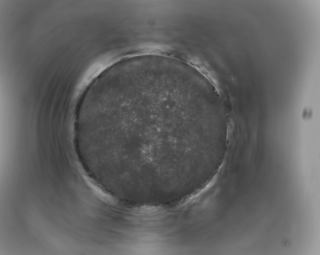 X0000091330101200709071205