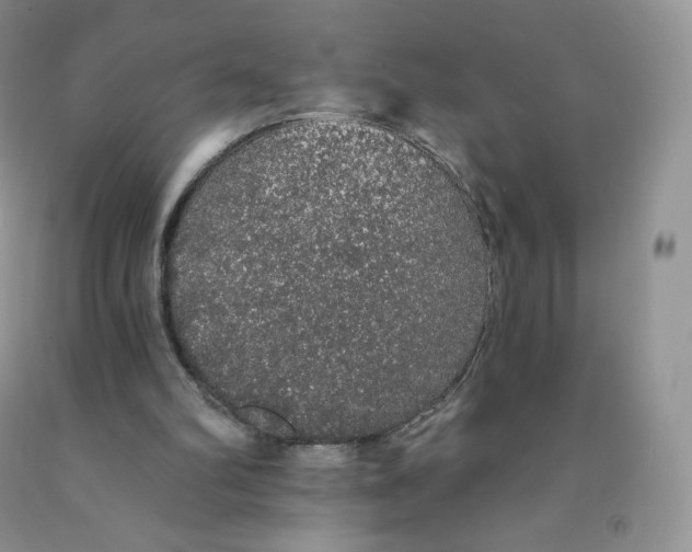 X0000091330102200709071205
