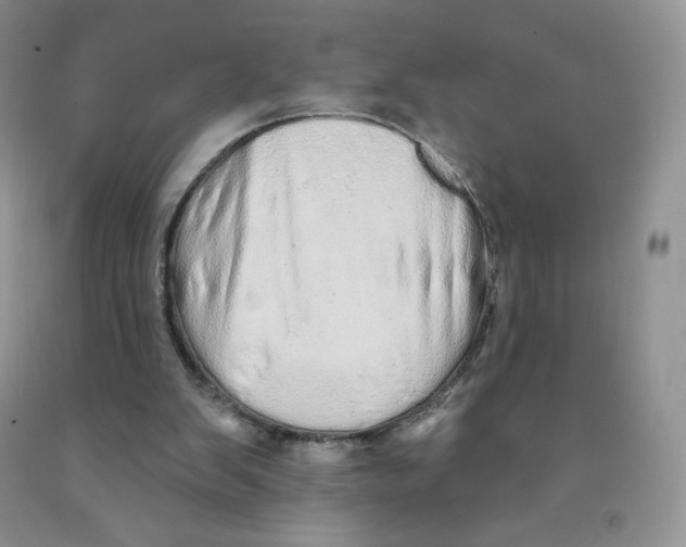 X0000091330103200709071205