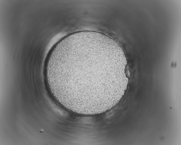 X0000091330104200709071205