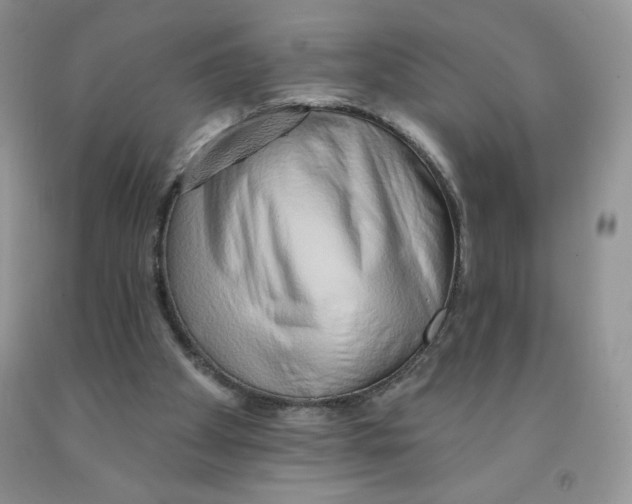 X0000091330105200709071205