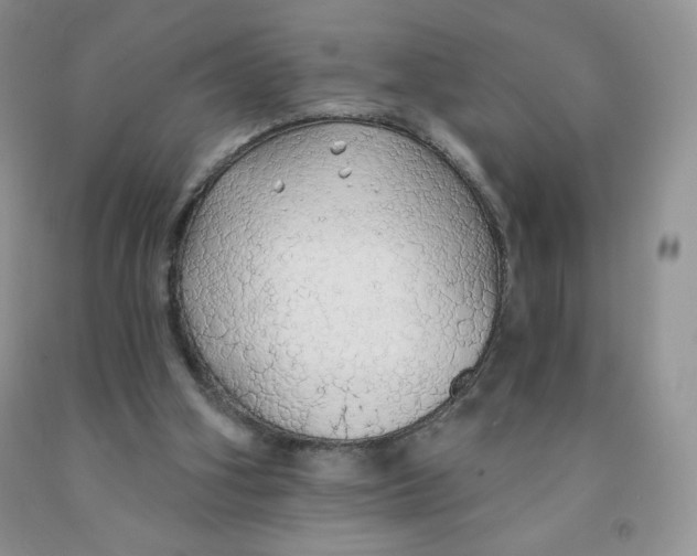 X0000091330106200709071205
