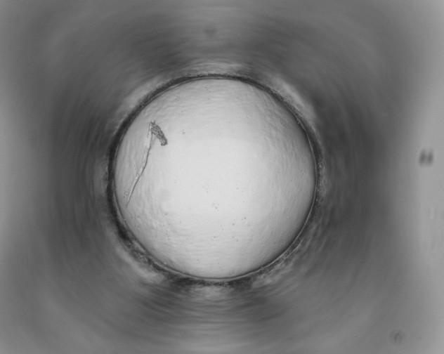 X0000091330107200709071205