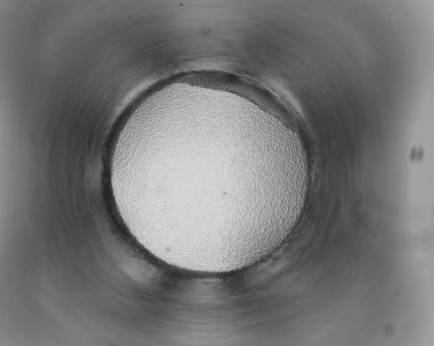 X0000091330108200709071205