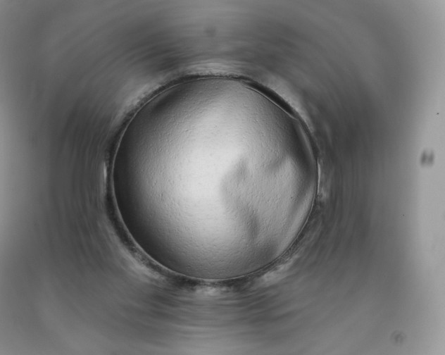 X0000091330109200709071205