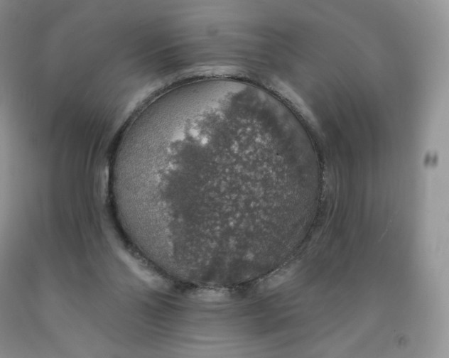 X0000091330110200709071205