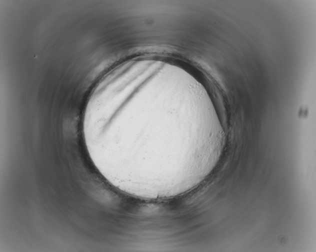 X0000091330111200709071205