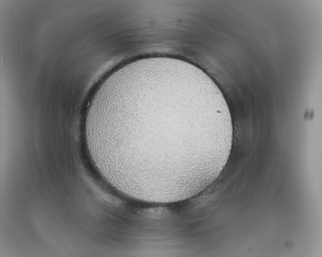X0000091330112200709071205