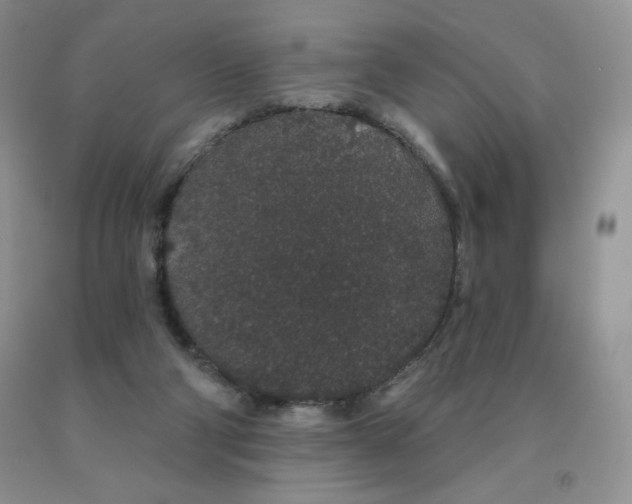 X0000091330114200709071205