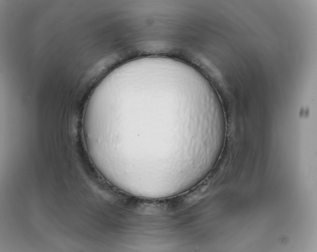 X0000091330115200709071205
