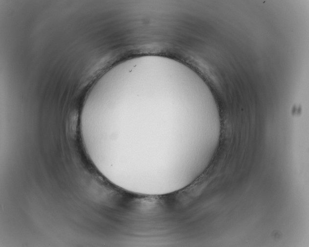 X0000091330118200709071205