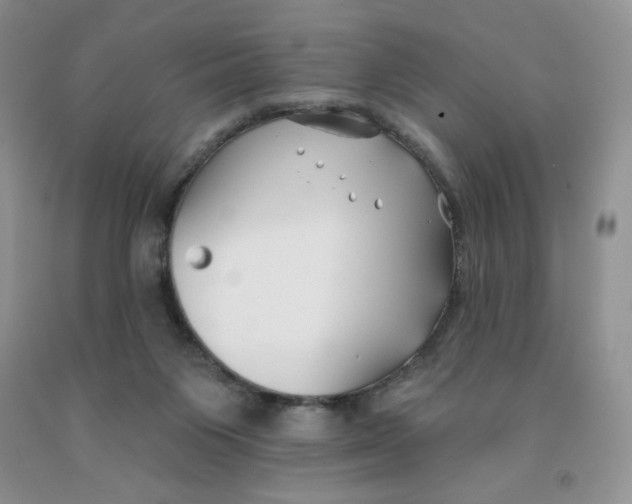 X0000091330119200709071205