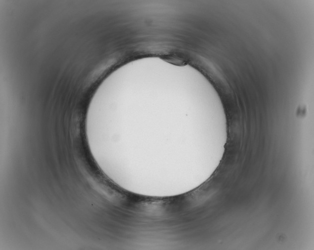 X0000091330120200709071205