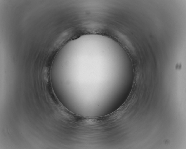 X0000091330121200709071205