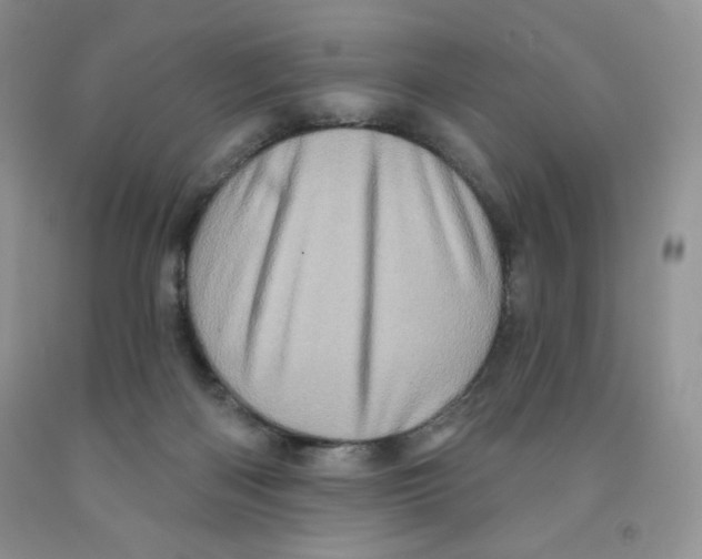 X0000091330122200709071205