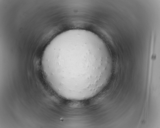 X0000091330123200709071205