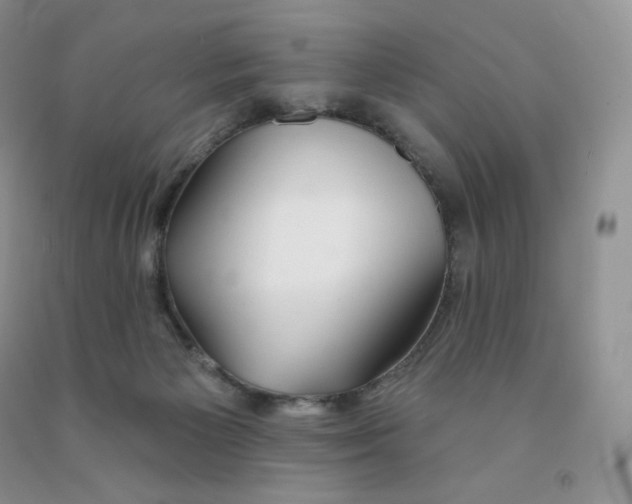 X0000091330125200709071205