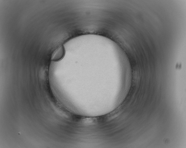 X0000091330126200709071205