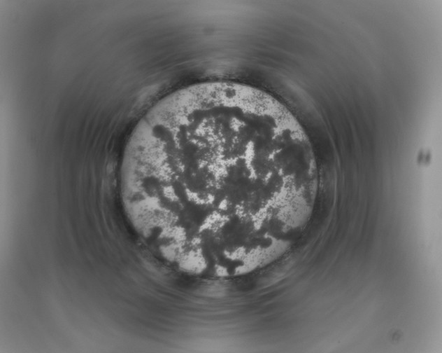 X0000091330127200709071205